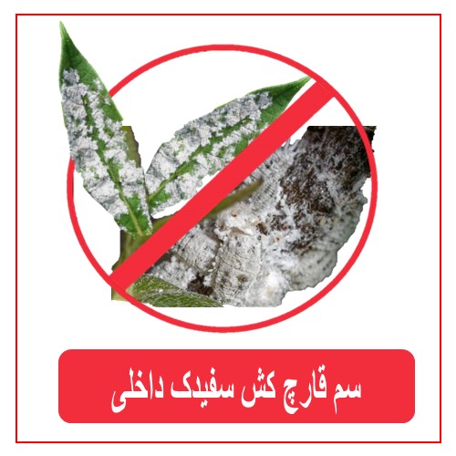 سم قارچ کش سفیدک داخلی